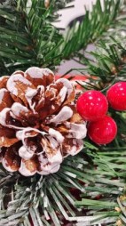 梦圆今宵(君亚攸宁)阅读