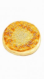 一面有芝麻的烧饼(人去骨遗香)阅读