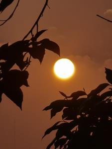 哥哥的未婚妻变成了我的男朋友后续+番外