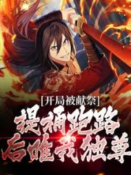 主角是裴不司林北辰的