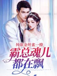 主角是司墨珩时苒的