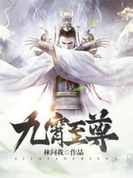 九霄至尊林辰阅读