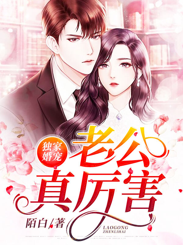 独家婚宠：老公真厉害小说阅读