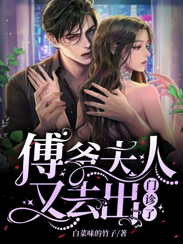 傅爷，夫人又去出门诊了小说阅读