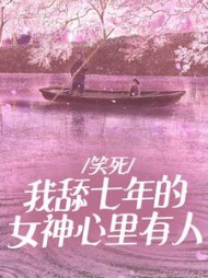 主角是夏文杰苏菲菲林秀风的