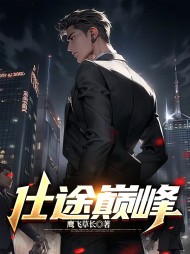 仕途巅峰(鹰飞草长)无弹窗阅读