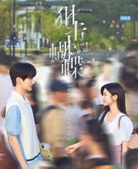 狙击蝴蝶七宝酥结局阅读