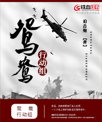 鸳鸯行动组小说阅读