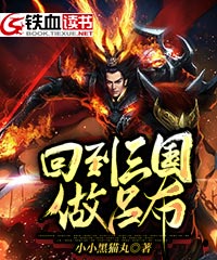 回到三国做吕布小说阅读