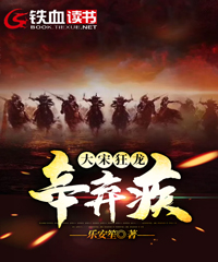 大宋狂龙辛弃疾小说阅读