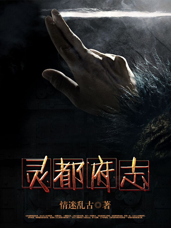 灵都府志小说阅读